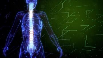 【シセイカルテ】